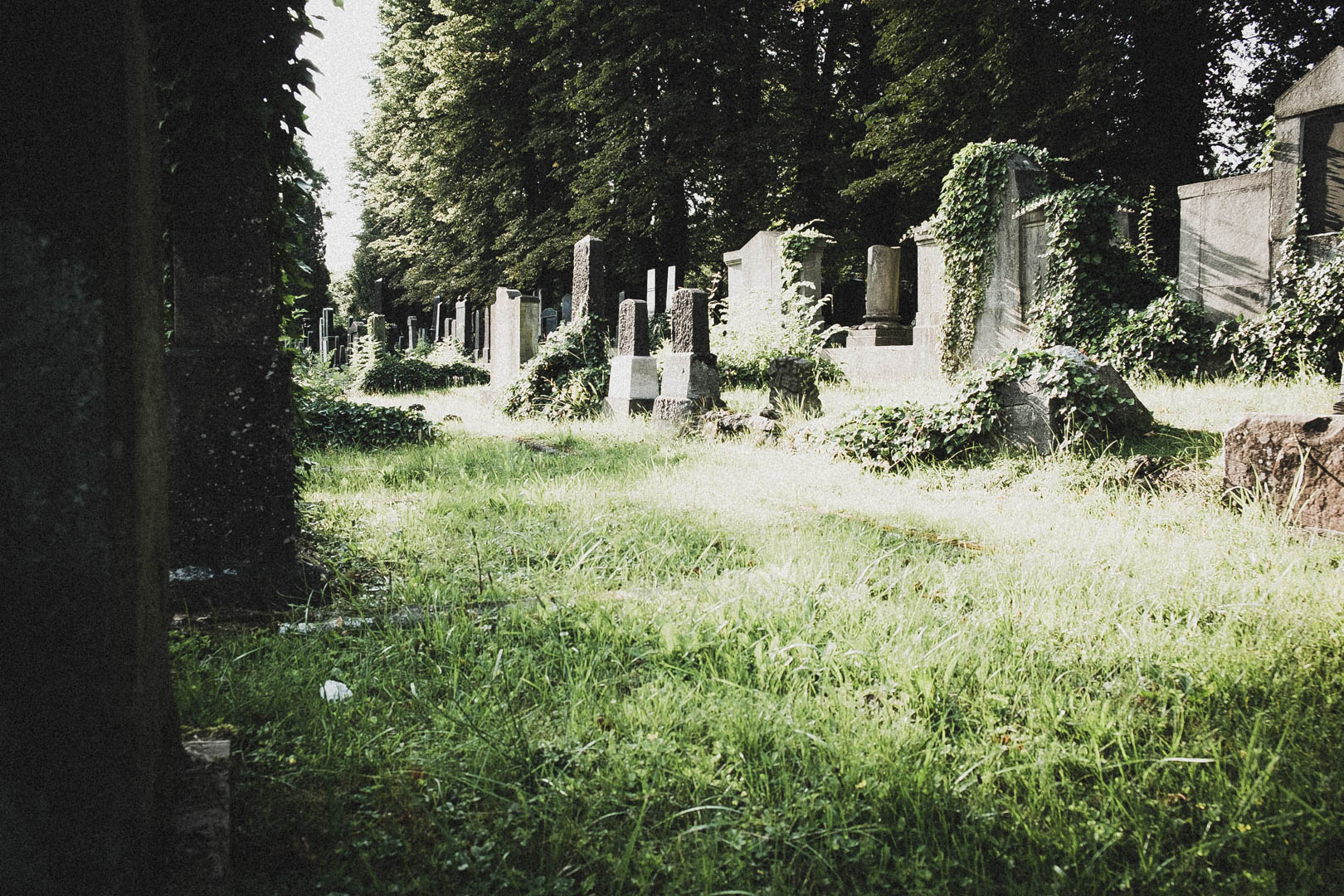 Jüdischer Friedhof Kassel-Bettenhausen